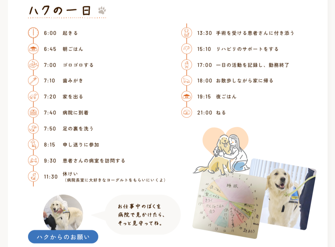 ハクの一日