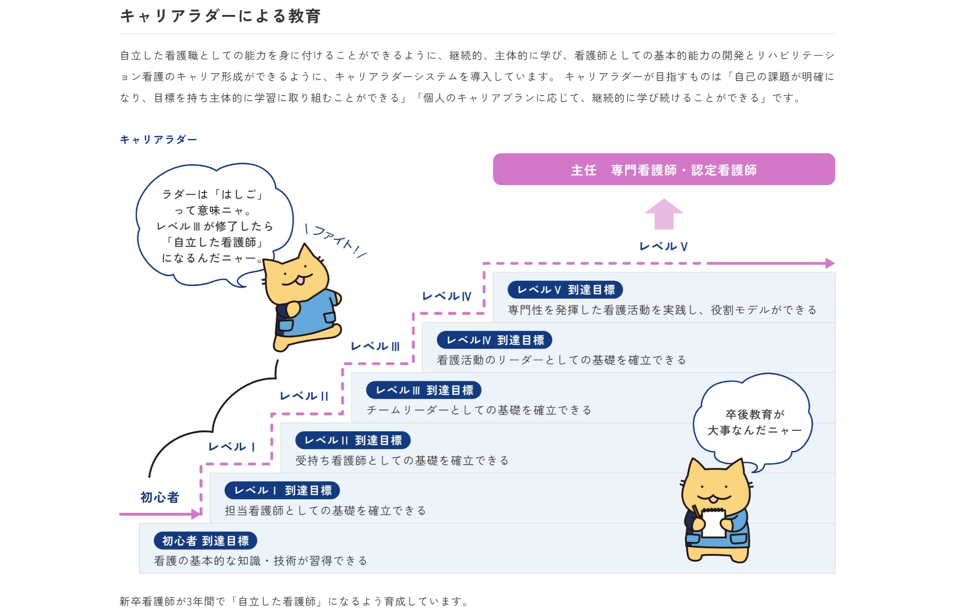東京都リハビリテーション病院　採用　キャリアラダー